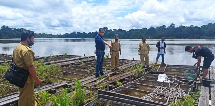 Kepala Dinas Kelautan dan Perikanan Prov. Kalteng, H. DARLIANSJAH mengunjungi Desa Danau Sadar, Kecamatan Dusun Selatan, Kabupaten Barito Selatan. (Photo/ist)