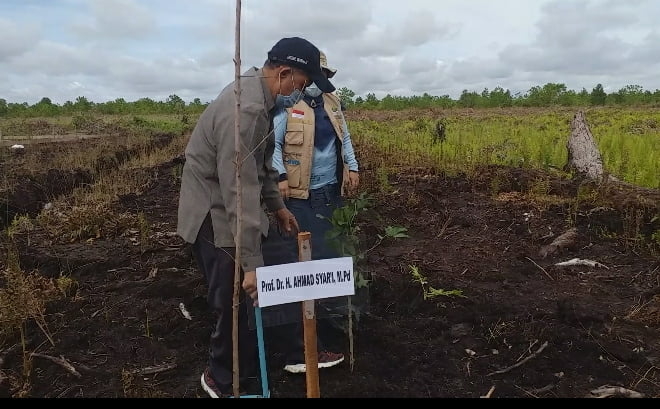 Ketua PW Muhammadiyah Kalteng Ahmad Syari saat melakukan penanaman pohon buah di tanah PW Muhammadiyah Kalteng, Rabu (24/11).