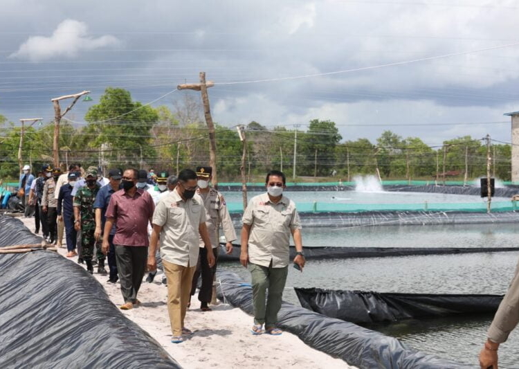 Asisten Bidang Perekonomian dan Pembangunan Setda Prov. Kalteng Leonard S. Ampung saat meninjau pembangunan shrimp estate/ Udang Vaname di Kabupaten Sukamara, didampingi Bupati Sukamara, H.Windu Subagio. (Photo/ist)