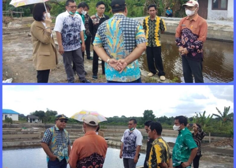 Kunjungan Dislutkan Prov. Kalteng bersama Komisi II DPRD Prov. Kalteng di UPTD BBII Karang Intan. (Photo/ist)