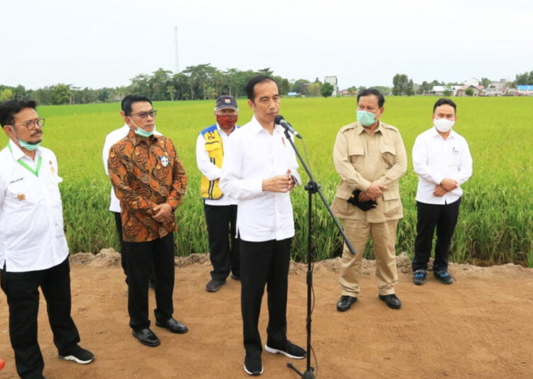 Gubernur Kalteng H. Sugianto Sabran (kanan) saat mendampingi kunjungan Presiden RI Joko Widodo ke kawasan Food Estate beberapa waktu lalu. (Photo/ist)