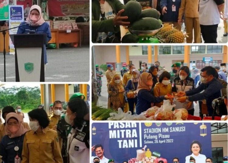 Dir. Horti Kementan dan Dandim 1011 Kapuas sidak di pasar Mitra Tani di Kabupaten Pulang Pisau. (Photo/ist)