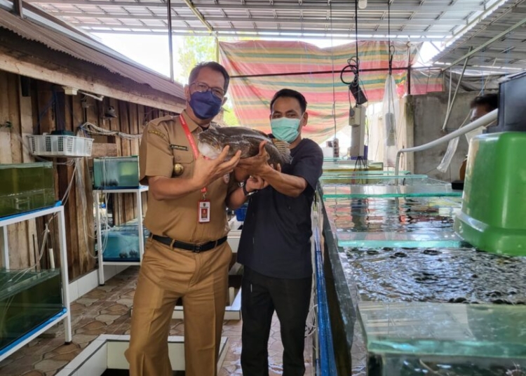 Kadislutkan Prov. Kalteng H. Darliansjah saat mengunjungi UKM Ali Giono Bakut beberapa waktu yang lalu. (Photo/ist)