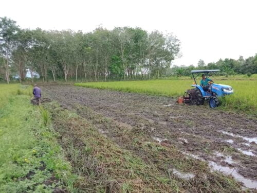 Lahan yang dibuka oleh Kodim KLK untuk demplot jagung. (IST)