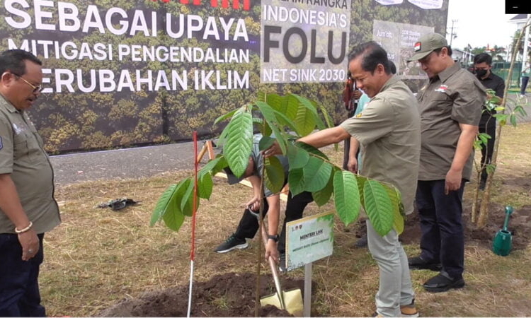 Sekretaris Dirjen Planalogi Kehutanan dan Lingkungan, Kementerian Kehutanan dan Lingkungan Hidup (KLHK) Hanif Faisal saat melakukan penanaman pohon di depan Stadion Tuah Pahoe didampingi Wakil Gubernur Kalteng H. Edy Pratowo dan Sekda Prov. Kalteng H. Nuryakin. (Photo/Ni)