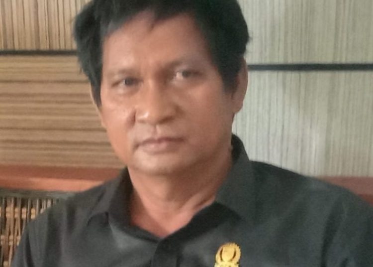 Hanafi, Anggota DPRD Katingan