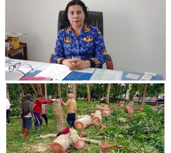 Kepala Dinas Lingkunga Hidup, Kabupaten Kapuas Karolinae dan lokasi Taman Kota. (ist)