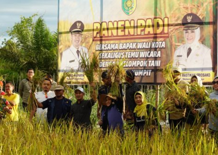 Walikota Palangka Raya saat panen padi di Kelurahan Pager, Kec. Rakumpit, Kota Palangka Raya