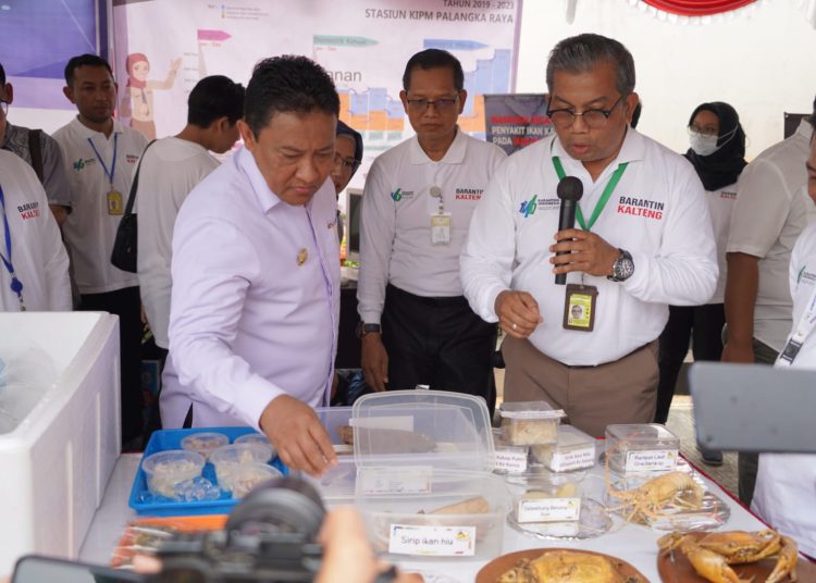 Wakil Gubernur Kalteng H. Edy Pratowo saat mengunjungi Pameran dan Bazar Sembako Murah. (Photo/arif)