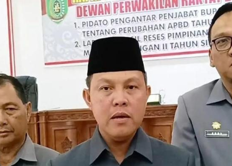 Penjabat Bupati Barito Selatan, Deddy Winarwan. (ist)