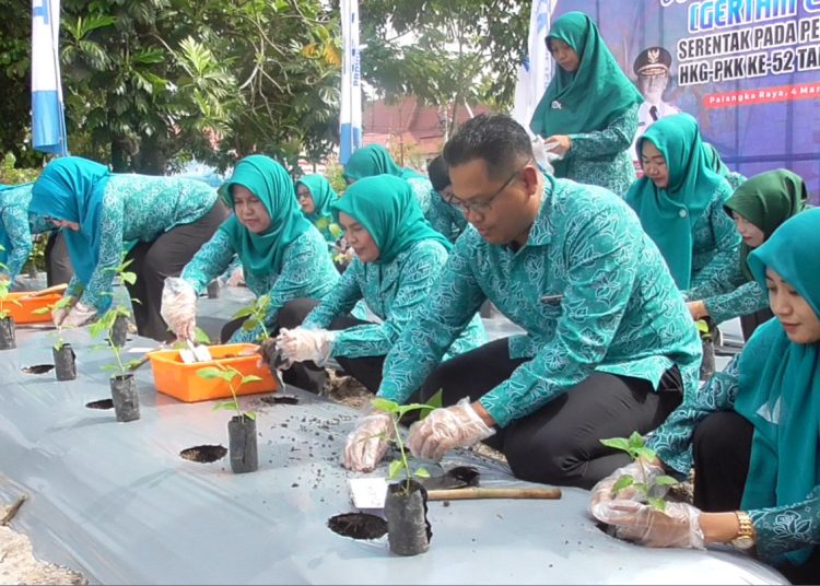 Pengurus TP-PKK Prov. Kalteng saat melakukan Gerakan Tanam Cabai Serentak di halaman belakang Rujab Gubernur Kalteng.(Photo/ivan)