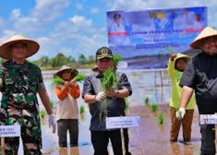 Ketua DPRD Kalimantan tengah (Kalteng) H. Wiyatno menghadiri acara Tanam Perdana Padi Optimalisasi Lahan Rawa dan Peletakan Batu Pertama Pembangunan Rice Miling Unit_ di Desa Pandih Batu, Kecamatan Pandih Batu, Kabupaten Pulang Pisau, Rabu (3/4/2024). Foto : Ist