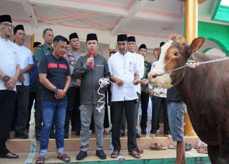 Penjabat (Pj) Bupati Barito Selatan H. Deddy Winarwan menyerahkan secara simbolis 135 ekor sapi qurban kepada seluruh Langgar dan Masjid se-Kabupaten Barito Selatan di halaman Masjid Agung Baiturrahman Buntok, Sabtu (15/6/2024). (Ist)