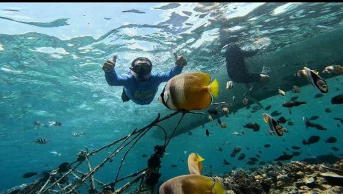 Kunjungan ke Kawasan Restorasi Terumbu Karang di Gili Meno NTB.(Photo/t2n)