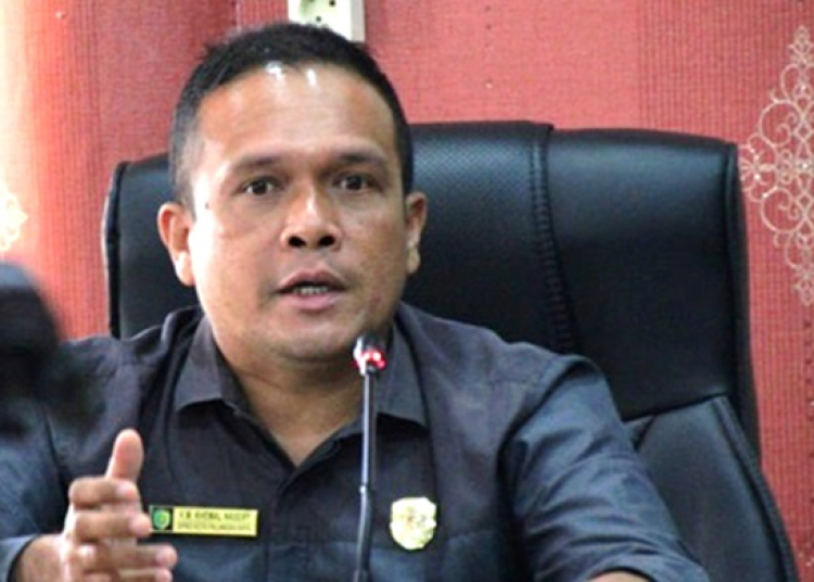 Anggota DPRD Kota Palangka Raya, Kemal Nashery