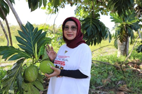 Kadis TPHP Prov. Kalteng Hj. Sunarti saat berkunjung ke Instalasi Perbanyakan Benih Hortikultura.(Photo/doktpht)