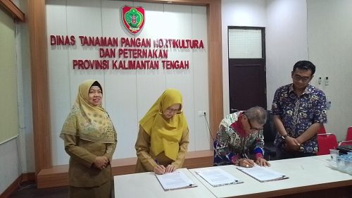 Sekretaris Dinas TPHT Prov. Kalteng Retno Nurhayati Utaminingsih dan Direktur PT. ANH Abdul Azis Halid saat melakukan penandatanganan kontrak kerjasama Pekerjaan Konstruksi Cetak Sawah.(Photo/doktpht)