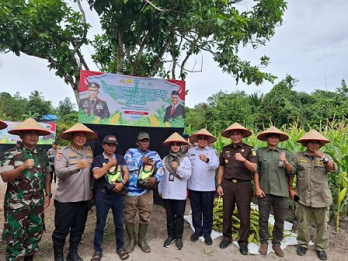 Kepala Bidang Perbenihan Budidaya Jayan Wahyudi photo bersama usai Panen Raya Jagung Serentak di Kelurahan Banturung.(Photo/levri)