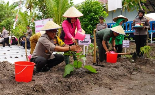 Kapolda Kalteng Irjen Pol Djoko Poerwanto menanam sayuran. (Photo/Arif)